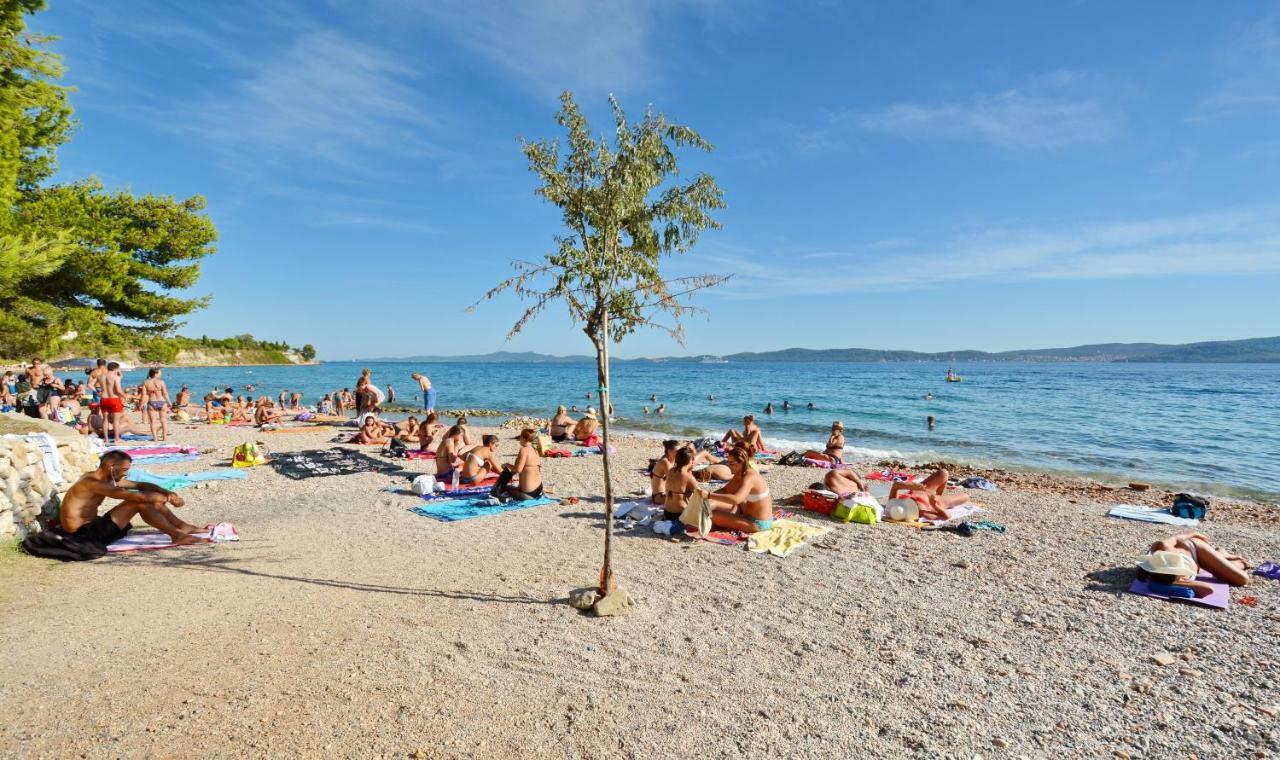 Apartman Olive Garden Zadar Exteriör bild